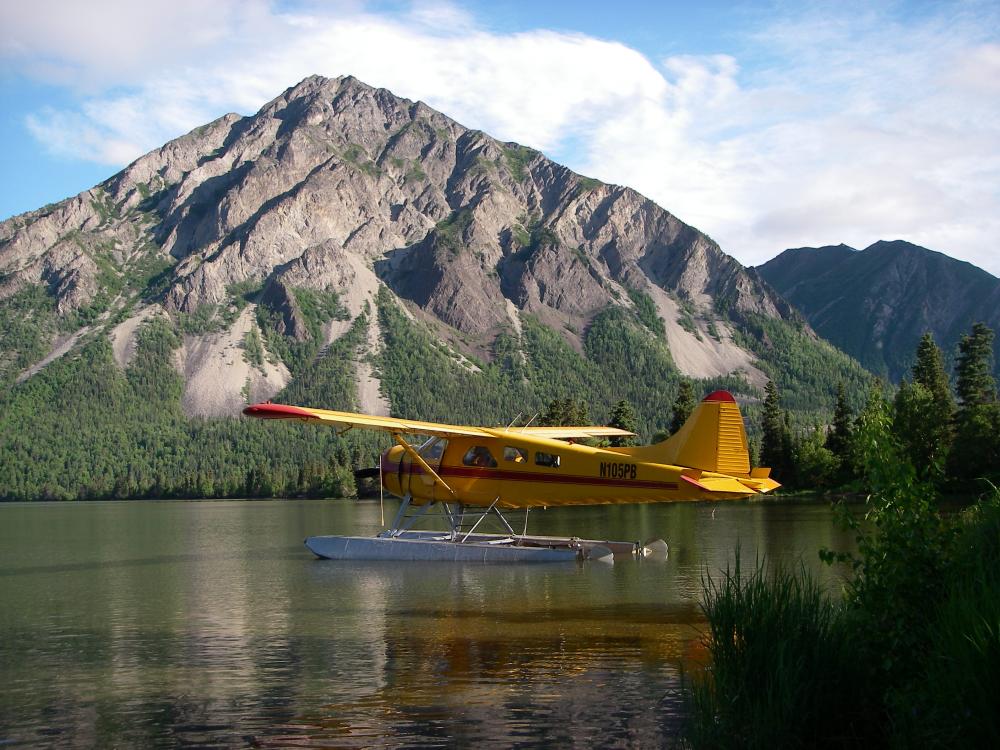 Alaska Bear & Wildlife Adventure — gallery