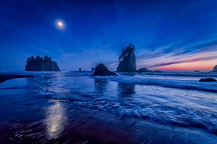 Olympic Peninsula Workshop — gallery